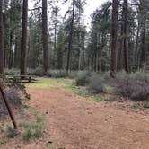 Review photo of Indian Ford Campground by Corinna B., June 1, 2019