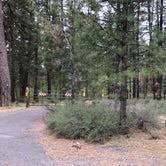 Review photo of Indian Ford Campground by Corinna B., June 1, 2019