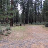 Review photo of Indian Ford Campground by Corinna B., June 1, 2019