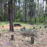 Review photo of Indian Ford Campground by Corinna B., June 1, 2019