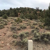 Review photo of Hickison Petroglyph by PJ F., June 1, 2019