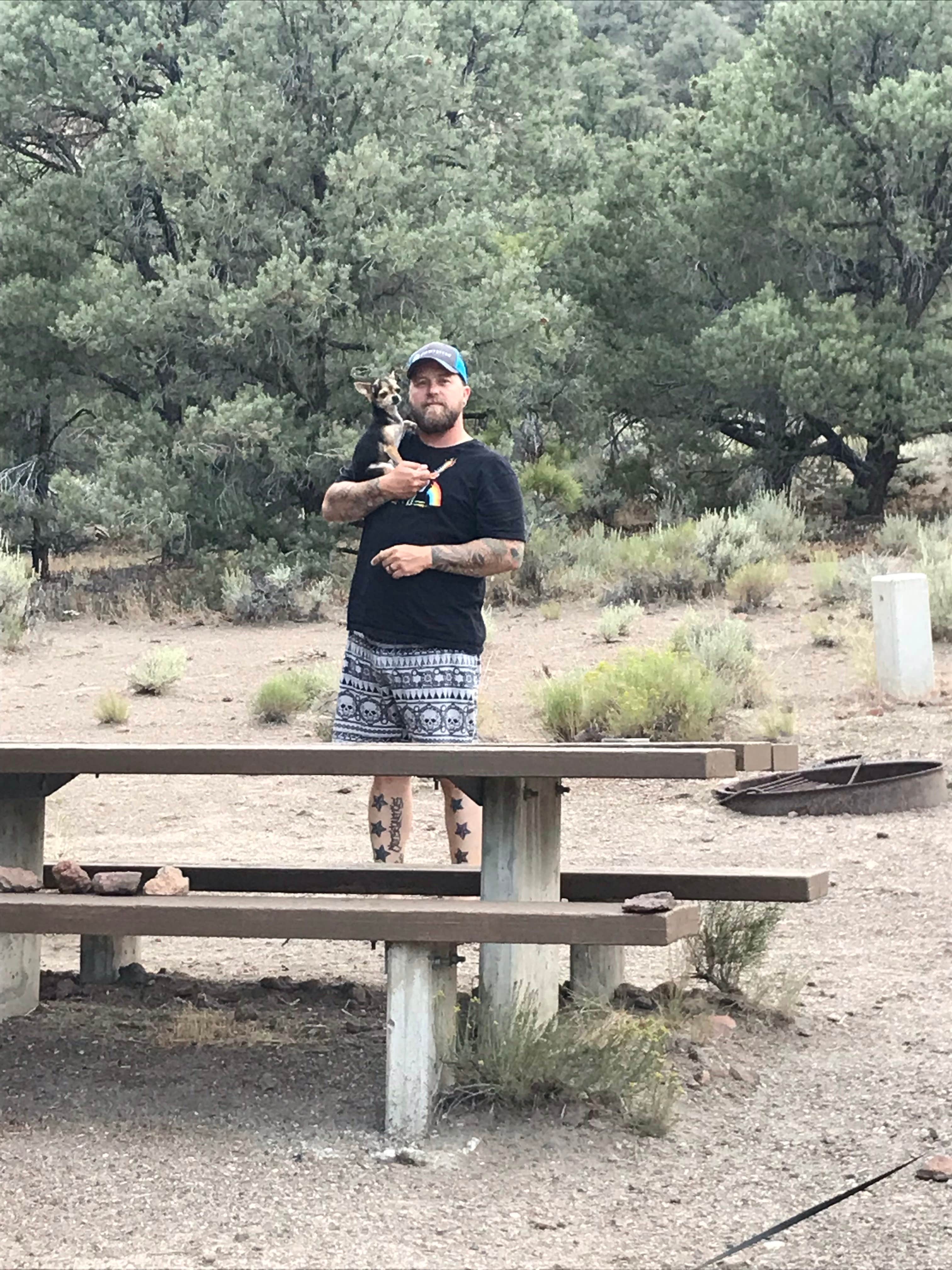 Camper submitted image from Hickison Petroglyph - 3