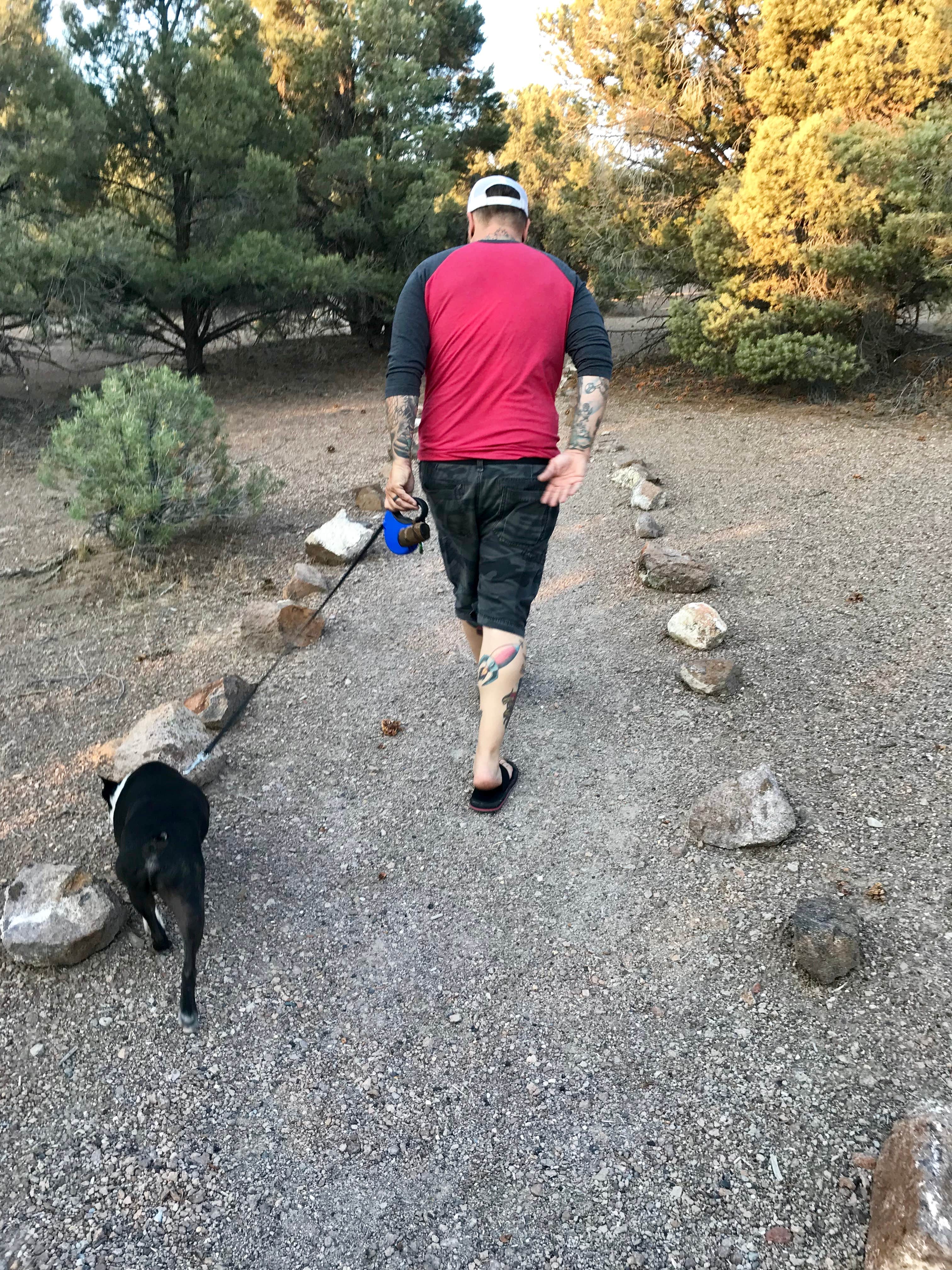 Camper-submitted photo at Hickison Petroglyph near Austin, NV