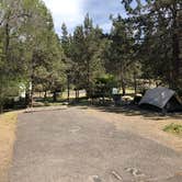 Review photo of Tumalo State Park Campground by Corinna B., June 1, 2019