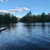 Review photo of Treeland Farm RV Resort by PJ F., June 1, 2019