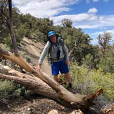 Review photo of Furnace Creek Campground — Death Valley National Park by Deborah C., June 1, 2019