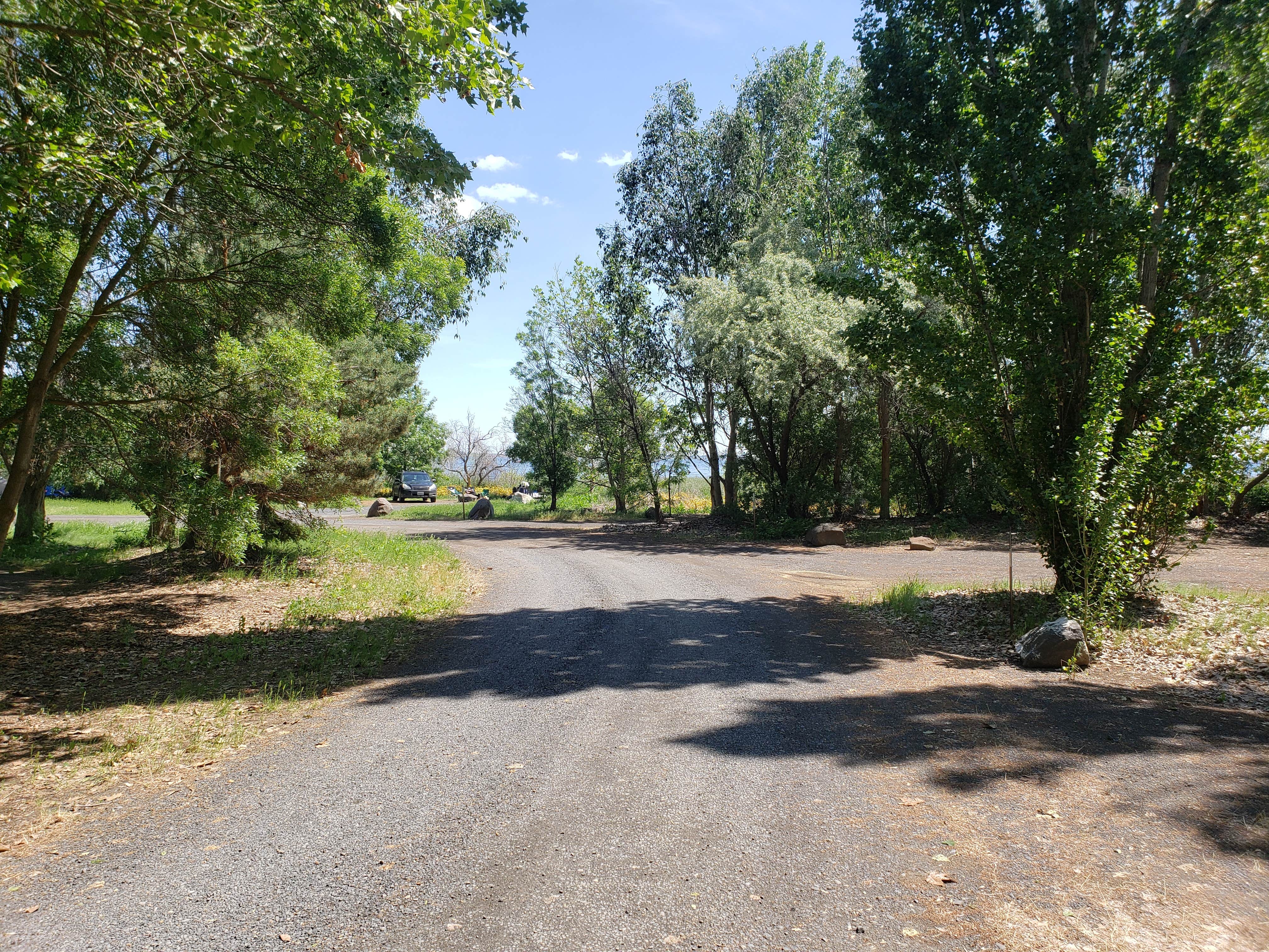 Camper submitted image from Potholes State Park Campground - 3