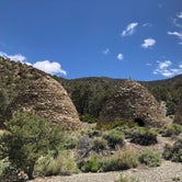 Review photo of Furnace Creek Campground — Death Valley National Park by Deborah C., June 1, 2019