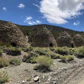 Review photo of Furnace Creek Campground — Death Valley National Park by Deborah C., June 1, 2019