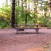 Review photo of Milo McIver State Park Campground by Corinna B., October 1, 2018