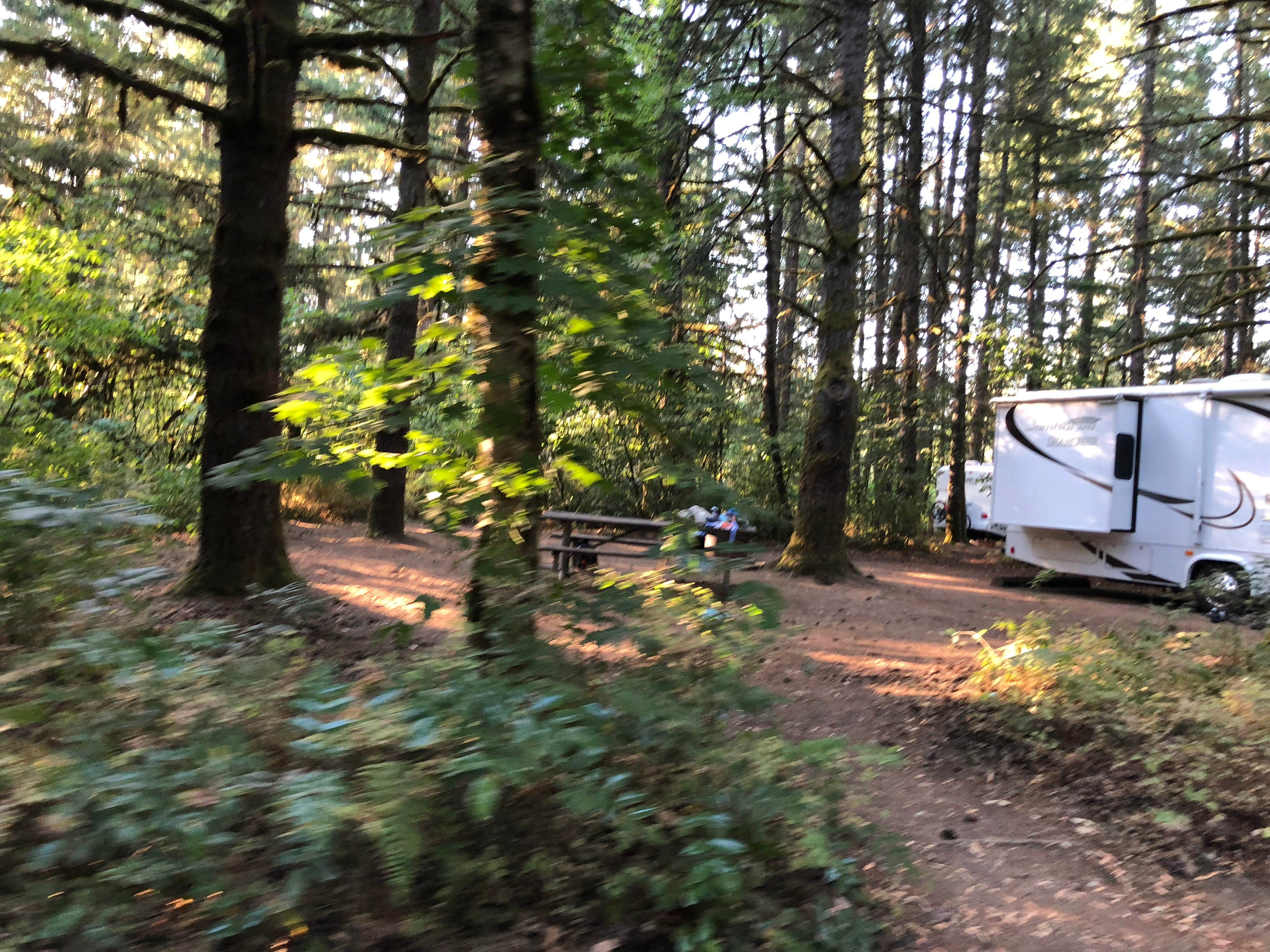 Corinna B.'s photo at Milo McIver State Park Campground near Corbett, OR