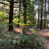 Review photo of Milo McIver State Park Campground by Corinna B., October 1, 2018