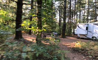 Corinna B.'s photo at Milo McIver State Park Campground near Lake Oswego, OR