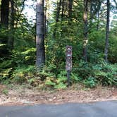 Review photo of Milo McIver State Park Campground by Corinna B., October 1, 2018