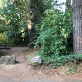 Review photo of Milo McIver State Park Campground by Corinna B., October 1, 2018