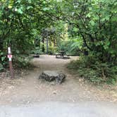 Review photo of Milo McIver State Park Campground by Corinna B., October 1, 2018