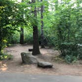 Review photo of Milo McIver State Park Campground by Corinna B., October 1, 2018