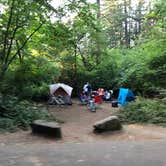 Review photo of Milo McIver State Park Campground by Corinna B., October 1, 2018