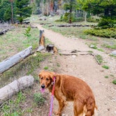 Review photo of Camp Dick by Karl G., June 1, 2019