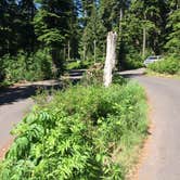Review photo of Lost Lake Resort And Campground — Mt. Hood National Forest by Corinna B., May 27, 2018