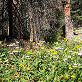 Review photo of Middle Quartz by Sarah L., June 1, 2019