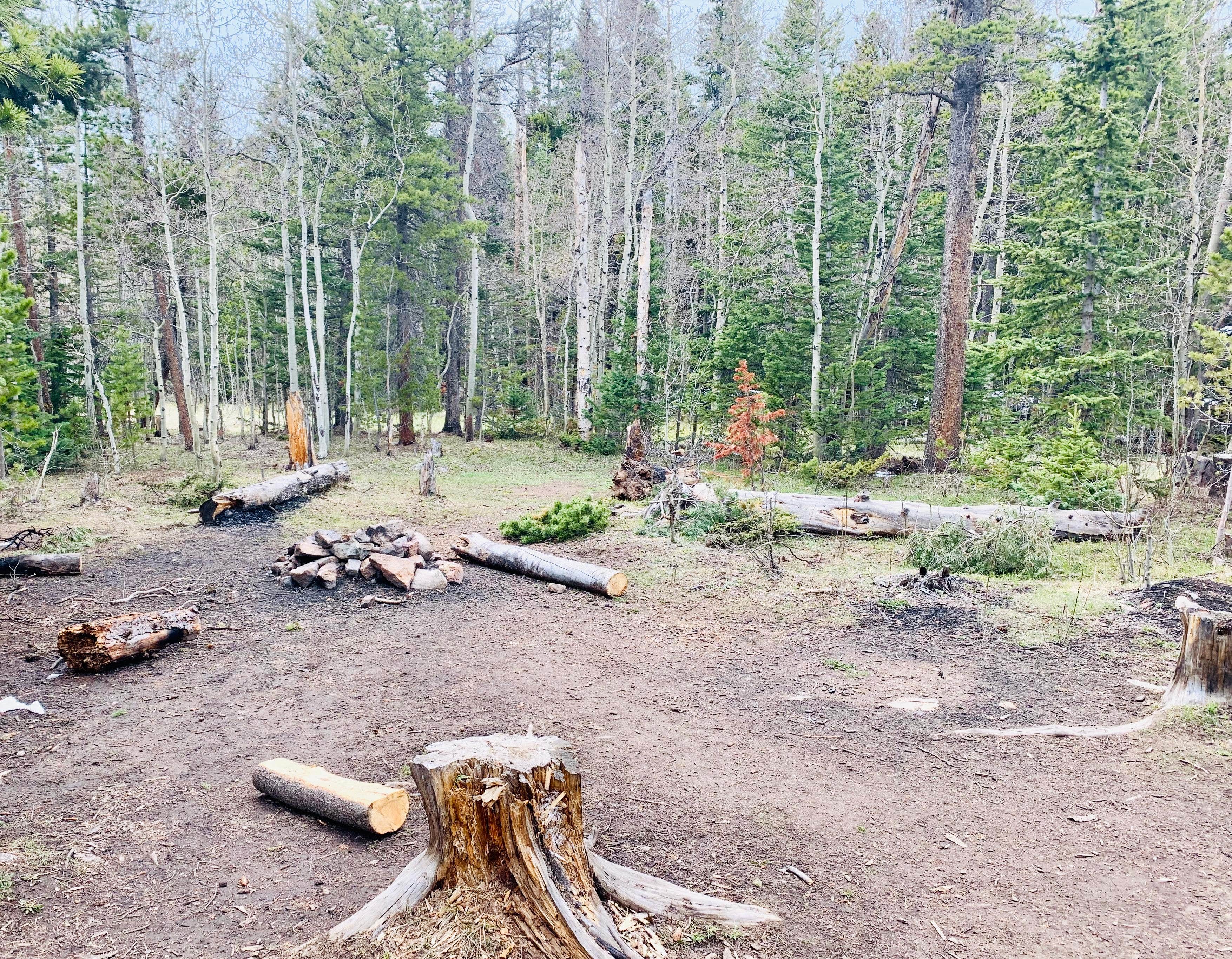 Camper-submitted photo at Beaver Park Reservoir - Dispersed near Jamestown, CO