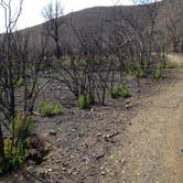 Review photo of Sycamore Canyon Campground — Point Mugu State Park by Leslie R., August 31, 2016