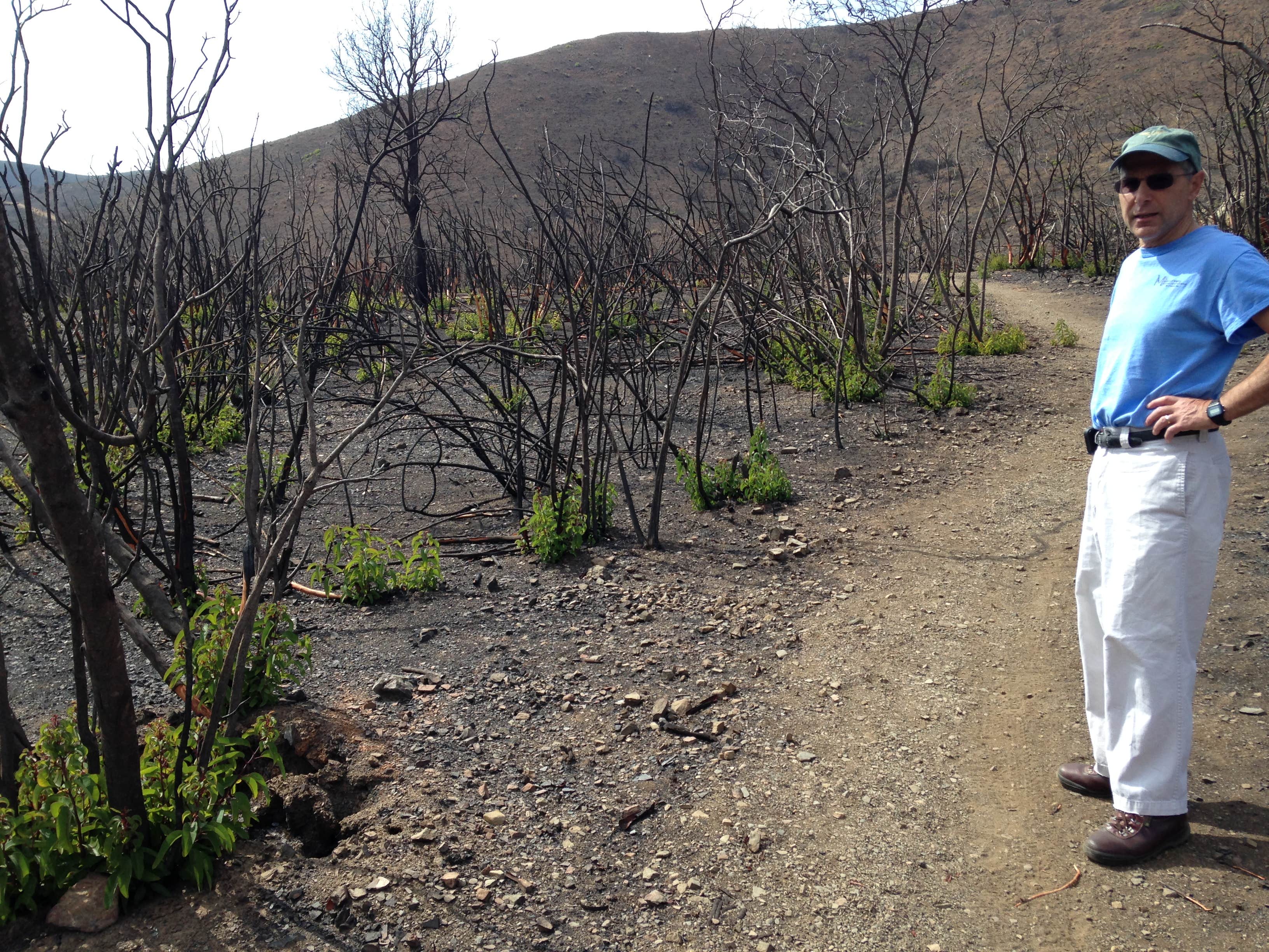 Camper submitted image from Sycamore Canyon Campground — Point Mugu State Park - 3