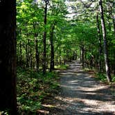 Review photo of Hanging Rock State Park Campground by Myron C., June 1, 2019