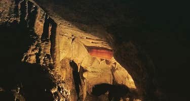 Forestville-Mystery Cave