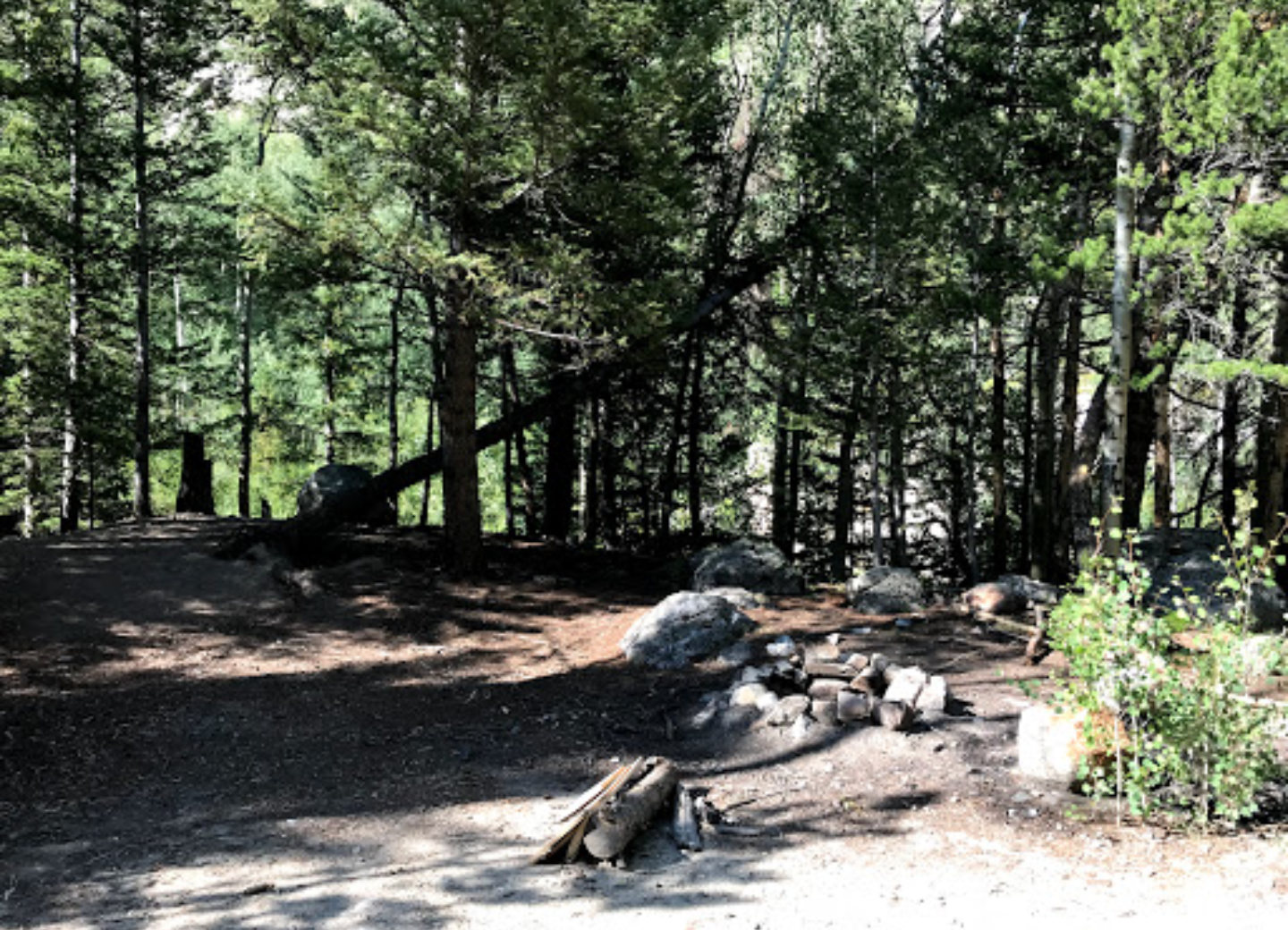 Camper submitted image from Rincon Campground — Arkansas Headwaters Recreation Area - 1