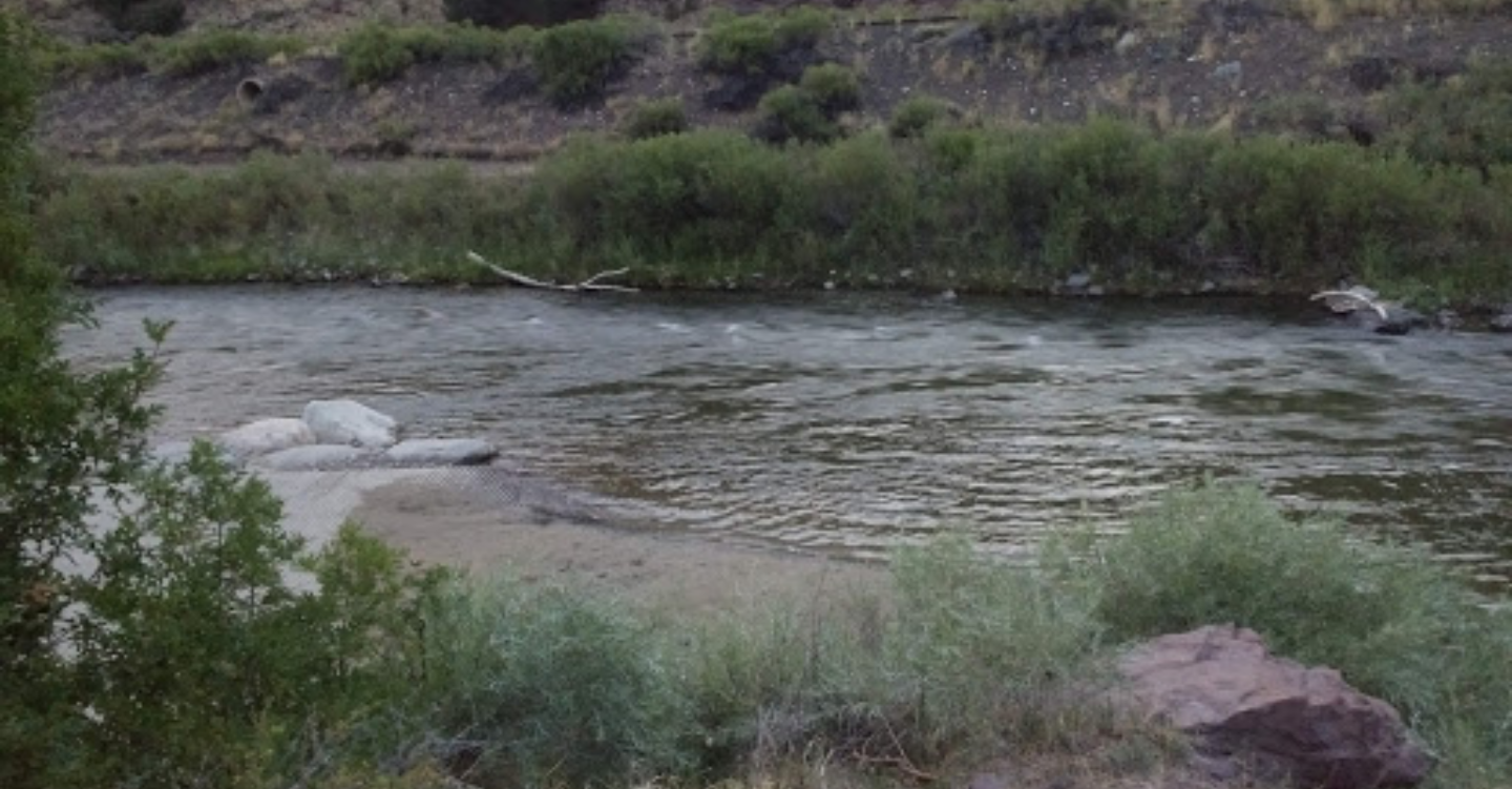 Camper submitted image from Rincon Campground — Arkansas Headwaters Recreation Area - 5