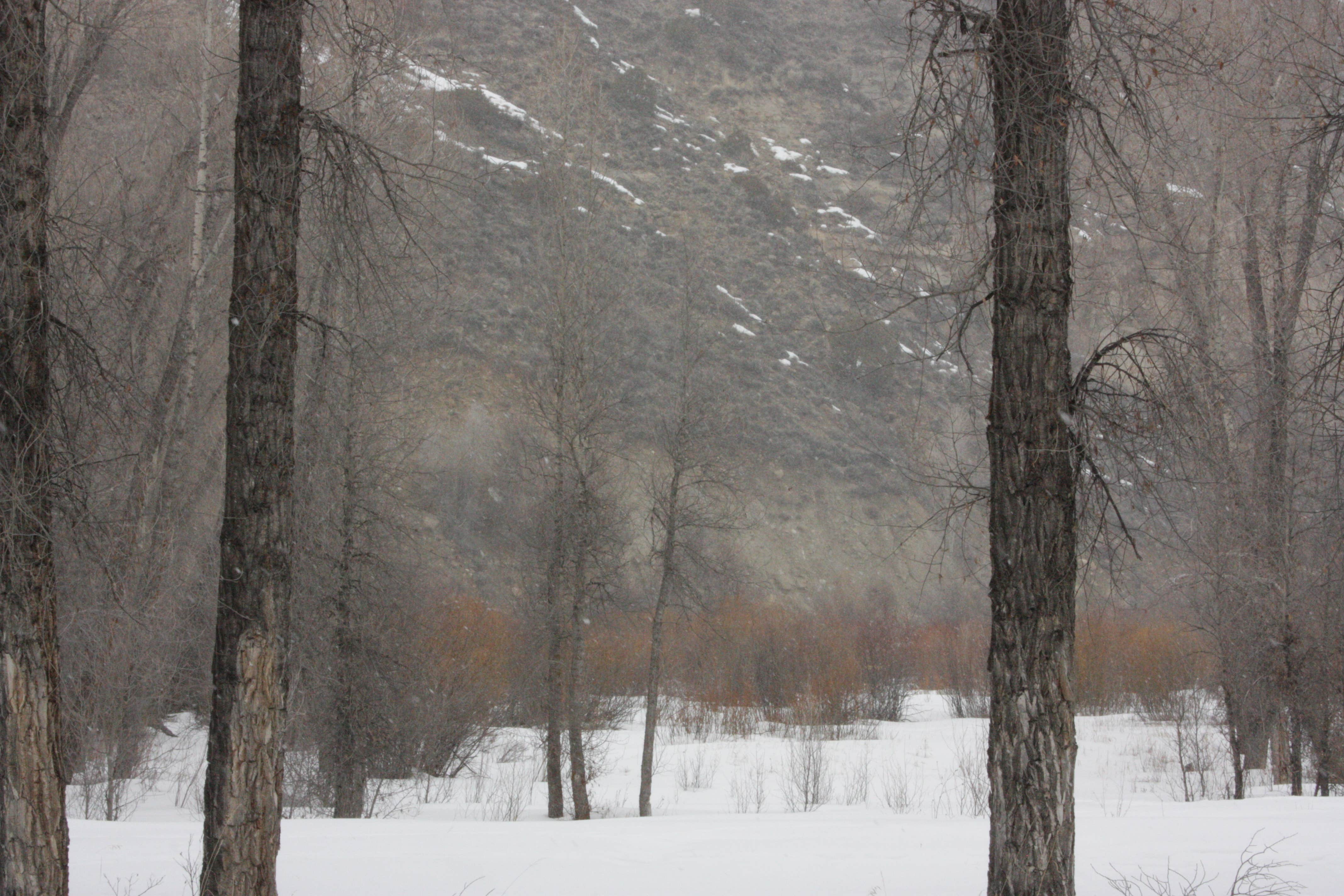 Camper-submitted photo at Pioneer Park near Parshall, CO