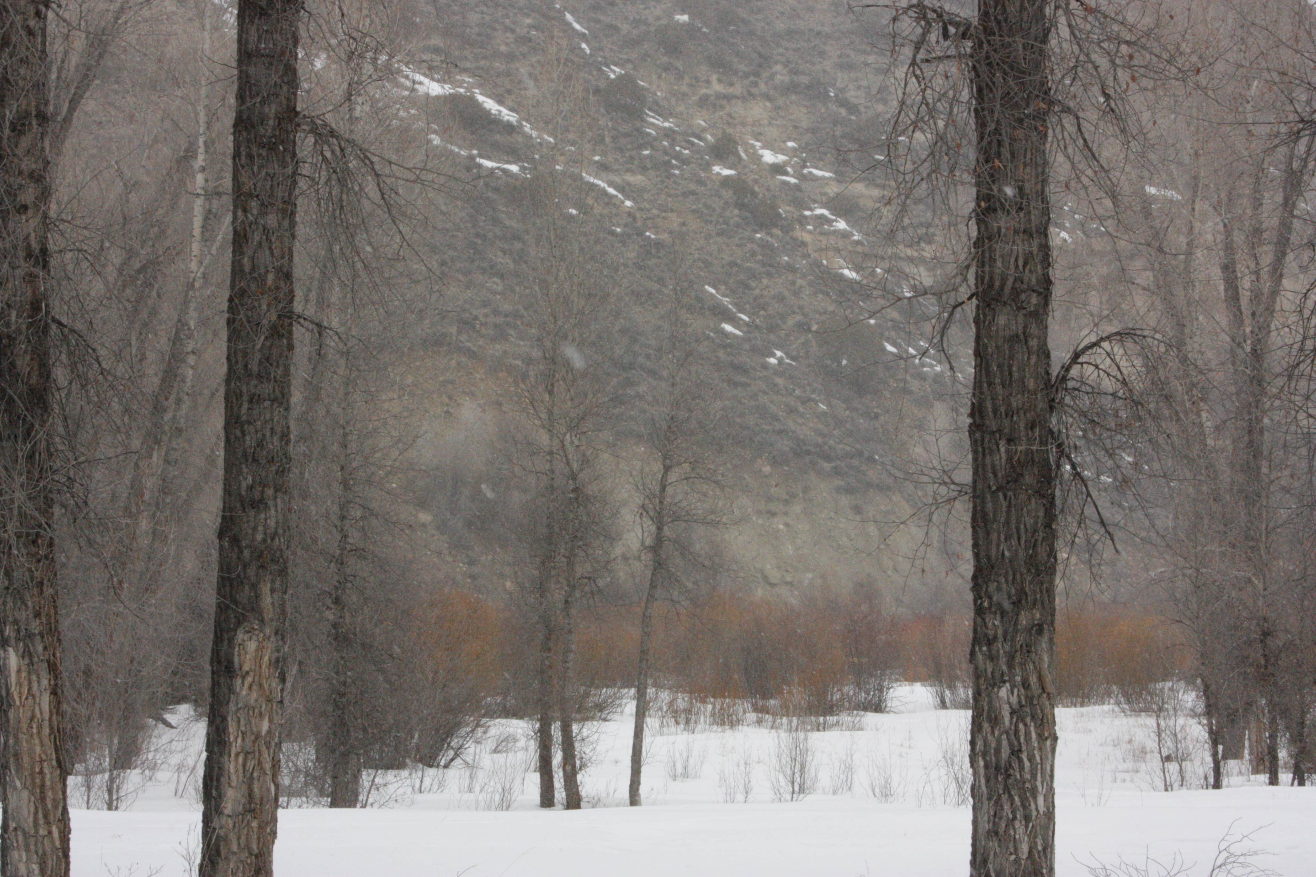 Camper-submitted photo at Pioneer Park near Parshall, CO
