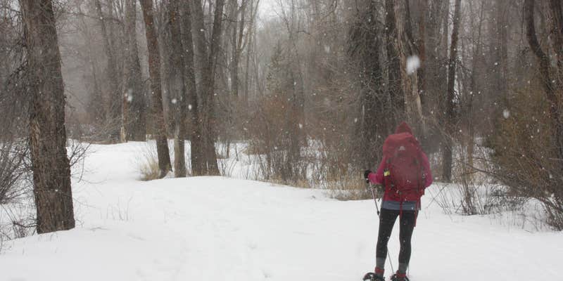 Camper submitted image from Pioneer Park