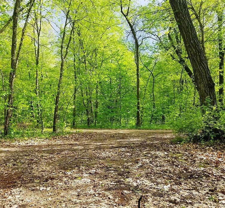 Camper-submitted photo at Sakatah Lake State Park Campground near Lakeville, MN