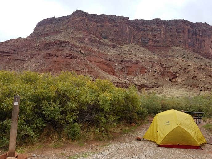 Alan B.'s photo at Upper Big Bend Campground near Castle Valley, UT