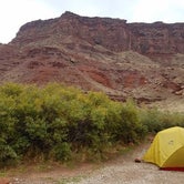 Review photo of Upper Big Bend Campground by Alan B., June 1, 2019