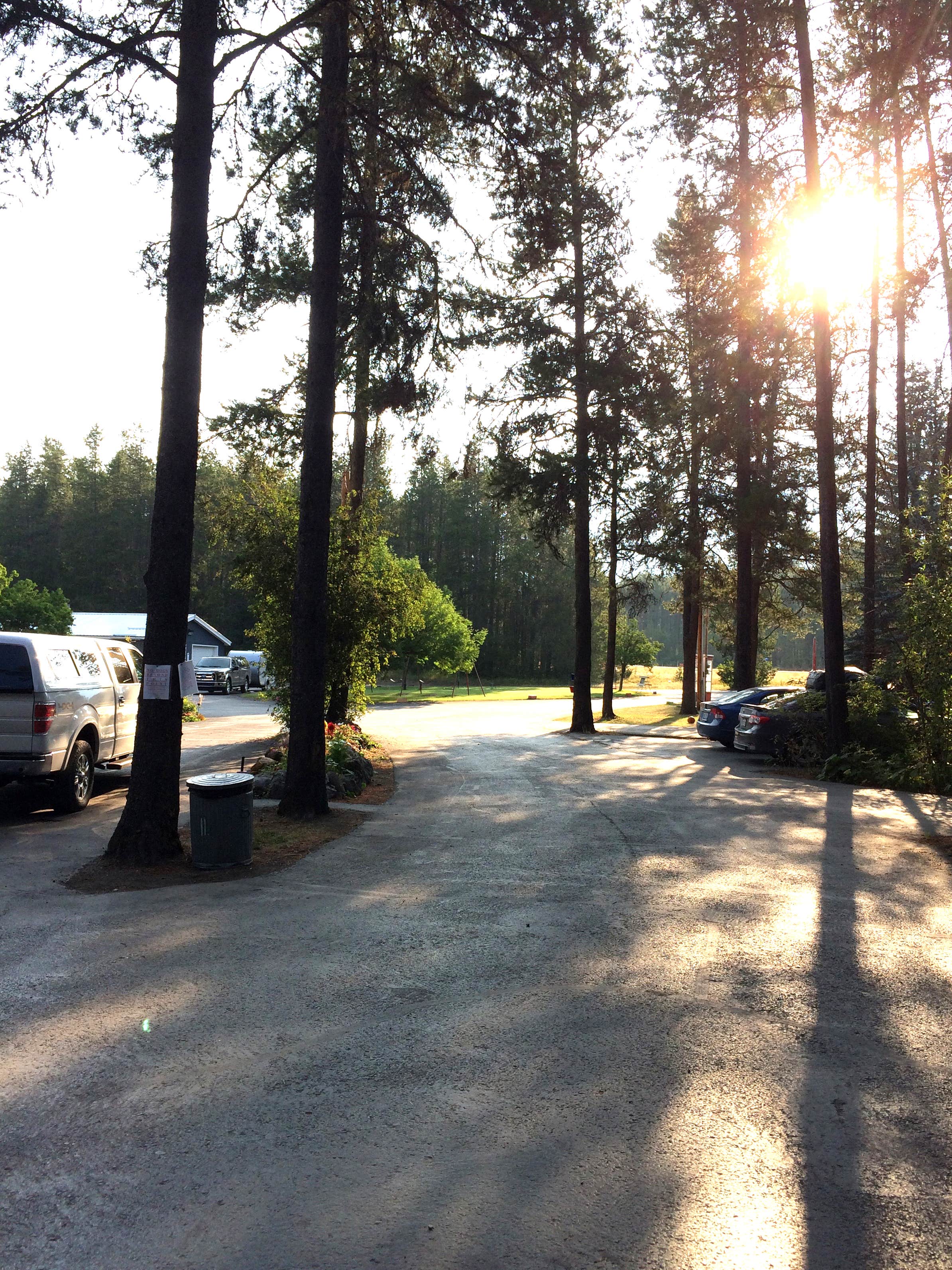 Camper-submitted photo at San-Suz-Ed RV Park, Campground and Bed & Breakfast near Siyeh Bend, MT