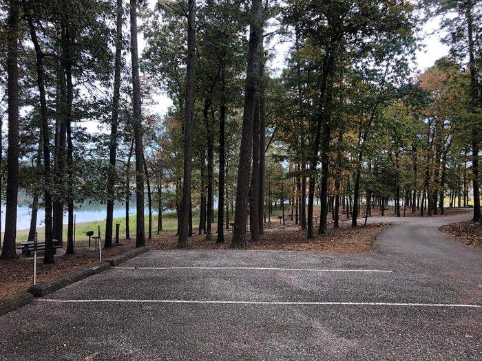 Camper submitted image from Caddo Drive - De Gray Lake - 5