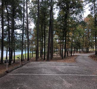 Camper-submitted photo from Caddo Drive - De Gray Lake