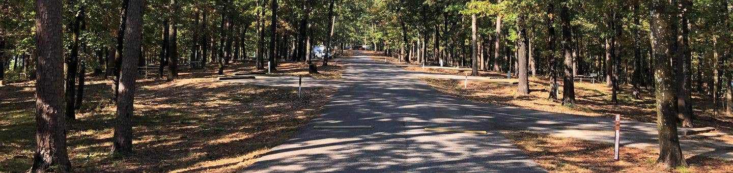Camper submitted image from Caddo Drive - De Gray Lake - 1