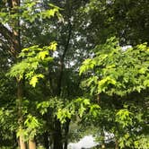 Review photo of Kentucky River Campground by Nancy R., June 1, 2019