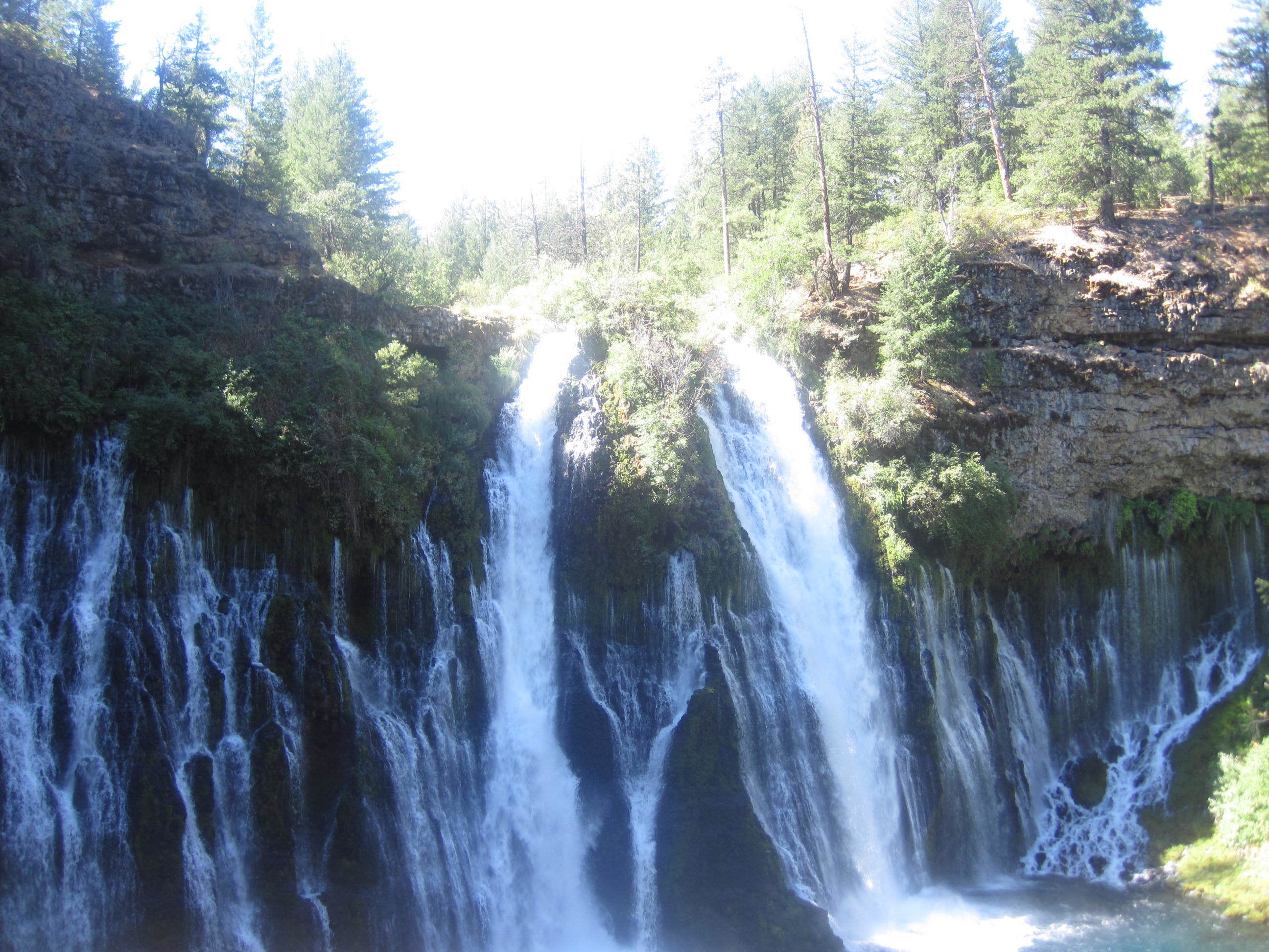 Camper submitted image from McArthur-Burney Falls Memorial State Park Campground - 3