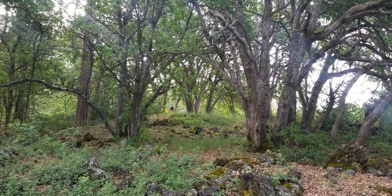 Camper submitted image from Ahjumawi Lava Springs State Park Campground