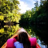 Review photo of Givhans Ferry State Park Campground by Jamie W., June 1, 2019