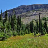 Review photo of Two Medicine Campground — Glacier National Park by Carla S., August 31, 2016