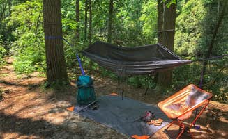 Melissa R.'s photo of tent camping at Burrells Ford in South Carolina