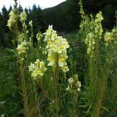Review photo of Two Medicine Campground — Glacier National Park by Carla S., August 31, 2016