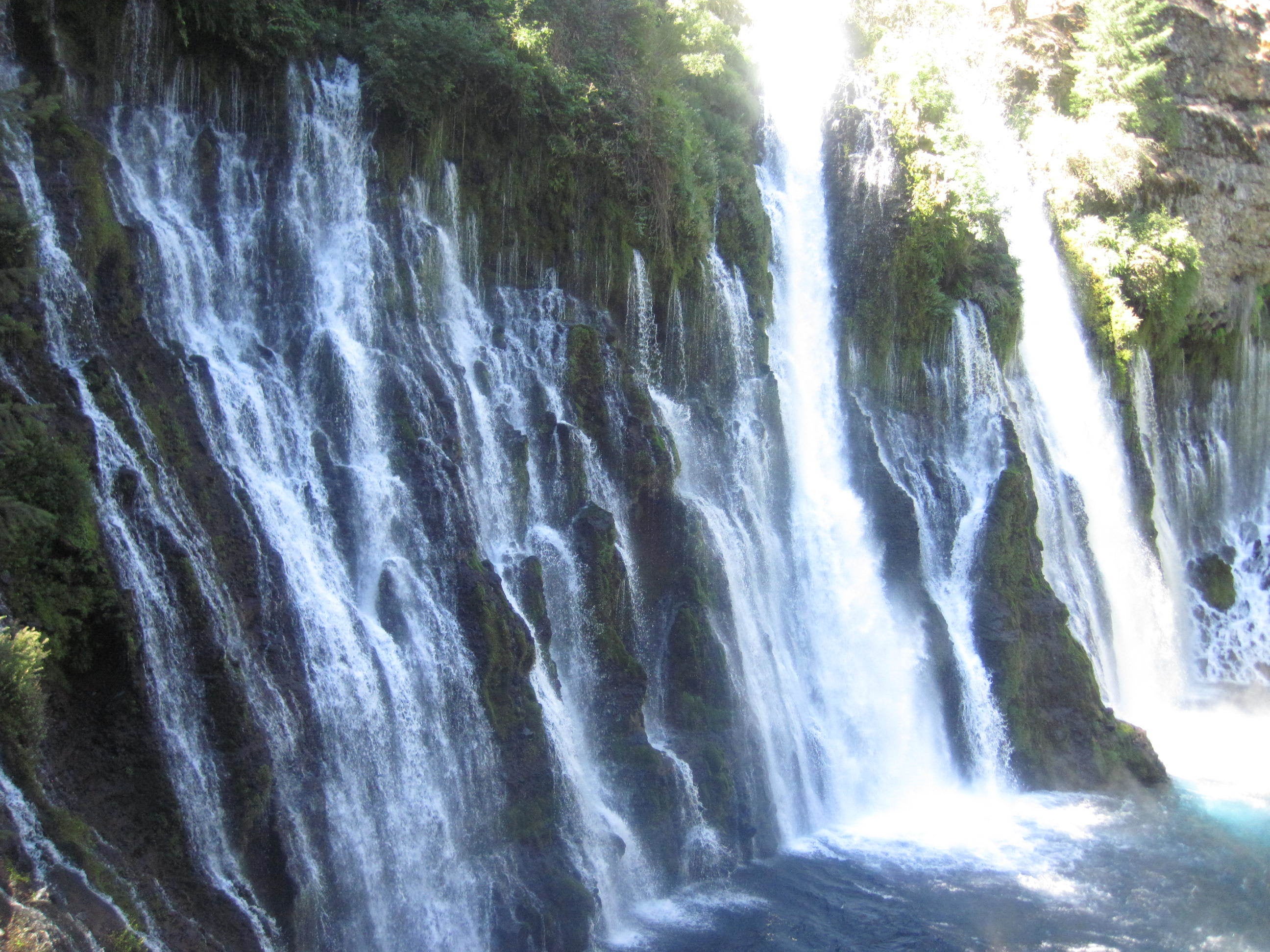 Camper submitted image from McArthur-Burney Falls Memorial State Park Campground - 2